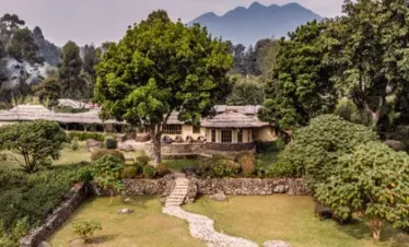 Uganda’s Luxury Gorilla Safari
