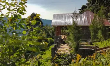 Uganda’s Luxury Gorilla Safari