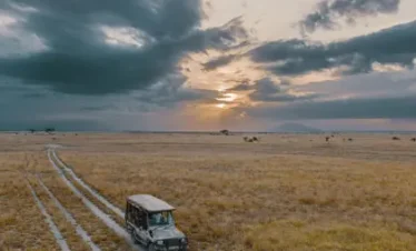 Kenya’s Big Five, Ol Pejeta & Mara